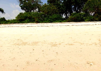 3.5-Acre Plot for KSh 85M