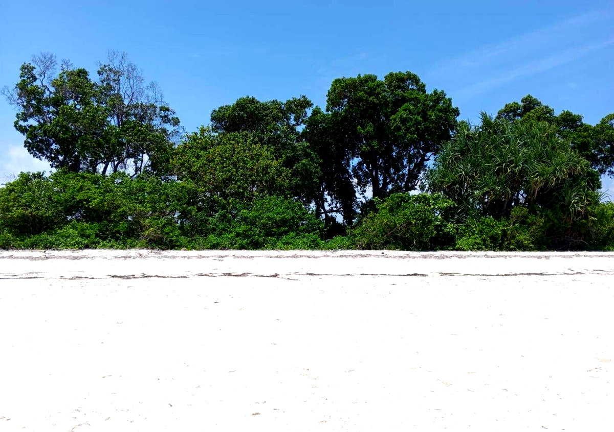 3.5-Acre Plot for KSh 85M