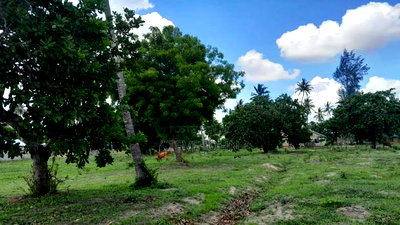 Plots for Sale With Title Kilifi - Image 4