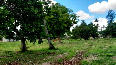 Plots for Sale With Title Kilifi - Image 3
