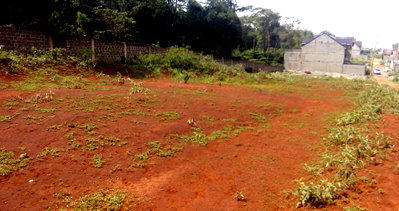 KSh 9M Garden Plot with Parking
