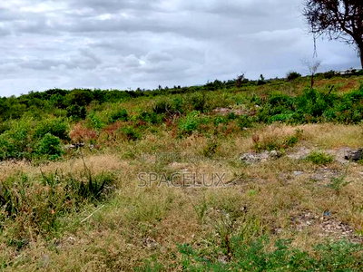 Prime 1acre Watamu Near Watamu Beach - Image 1