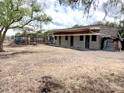 This 100 Arca Piece of Land Is Up for Sale in Kipeto - Image 3
