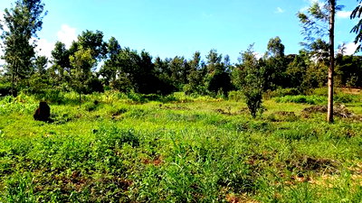 31/4 Acres for Sale,Sumar,Maragua. - Image 3