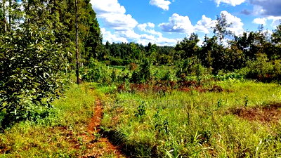 31/4 Acres for Sale,Sumar,Maragua. - Image 4