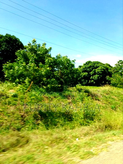 Affordable Acres Malindi - Image 2