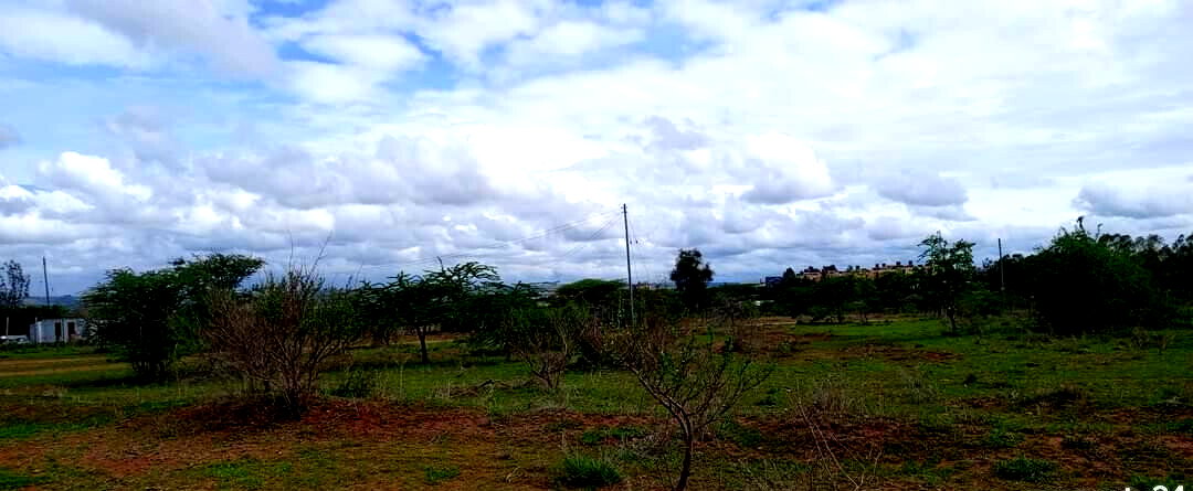 Quarter Acre Plot with Garden for KSh 4M