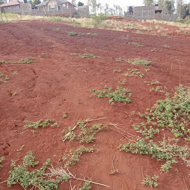 Affordable 50*100ft Plots for Sale at Kenol Kagia Road