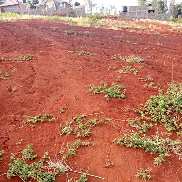 Affordable 50*100ft Plots for Sale at Kenol Kagia Road