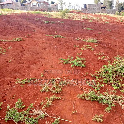 Affordable 50*100ft Plots for Sale at Kenol Kagia Road - Image 1