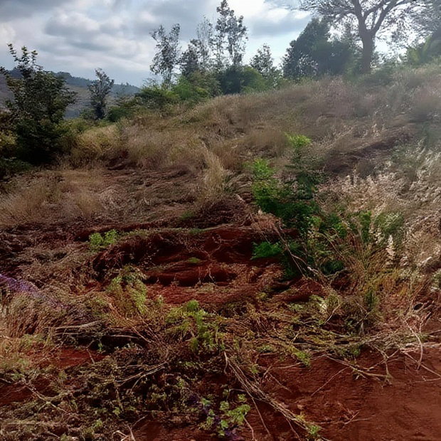 Affordable 50*100ft Plots for Sale at Kenol Kagia Road