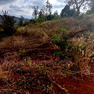 Affordable 50*100ft Plots for Sale at Kenol Kagia Road - Image 4