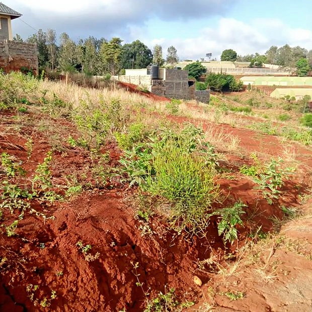 Affordable 50*100ft Plots for Sale at Kenol Kagia Road