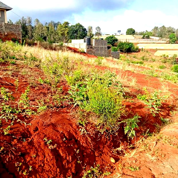 Affordable 50*100ft Plots for Sale at Kenol Kagia Road