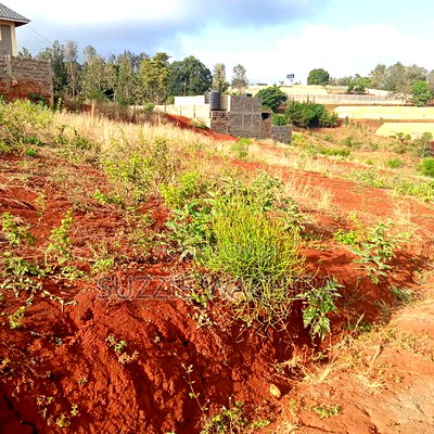 Affordable 50*100ft Plots for Sale at Kenol Kagia Road - Image 2