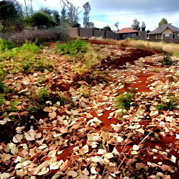 Affordable 50*100ft Plots for Sale at Kenol Kagia Road