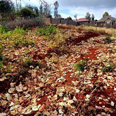 Affordable 50*100ft Plots for Sale at Kenol Kagia Road - Image 3