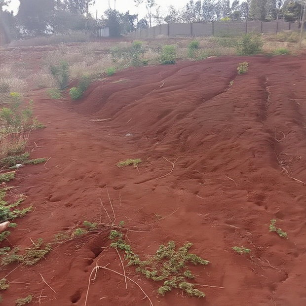 Affordable 50*100ft Plots for Sale at Kenol Kagia Road