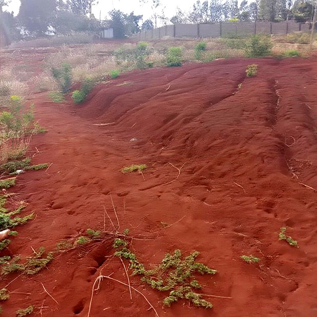 Affordable 50*100ft Plots for Sale at Kenol Kagia Road