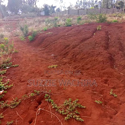 Affordable 50*100ft Plots for Sale at Kenol Kagia Road - Image 5