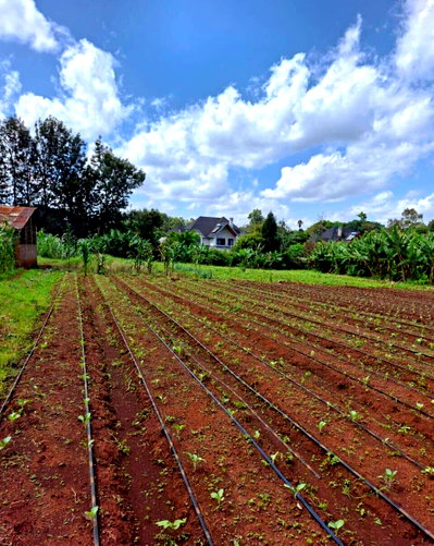 0.57 Acre Plot in Karen at KSh 50M