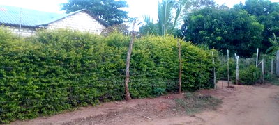 3bdrm House in Ukunda Shamu Road for sale - Image 2