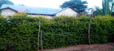 3bdrm House in Ukunda Shamu Road for sale - Image 6