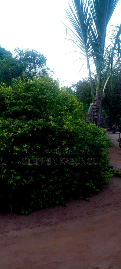 3bdrm House in Ukunda Shamu Road for sale - Image 15