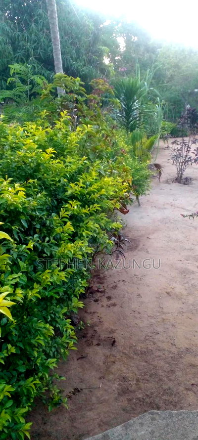 3bdrm House in Ukunda Shamu Road for sale - Image 5