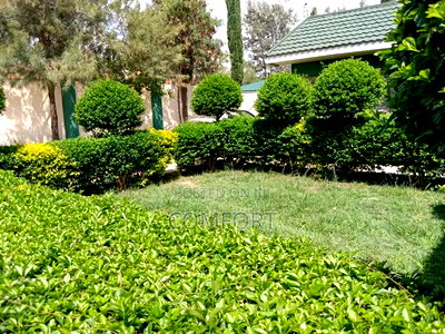 5bdrm House in Milimani, Kitengela for sale - Image 18