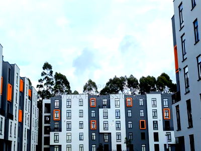 2bdrm Apartment in Maisha Mapya, Limuru for rent - Image 19