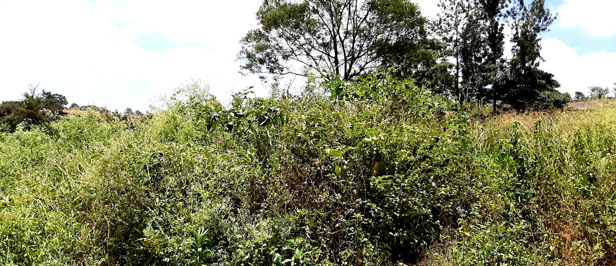 1 Acre Ridgeways Plot with Garden
