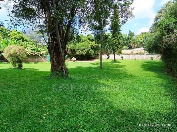 Commercial 8 Bedrooms House for Office Use