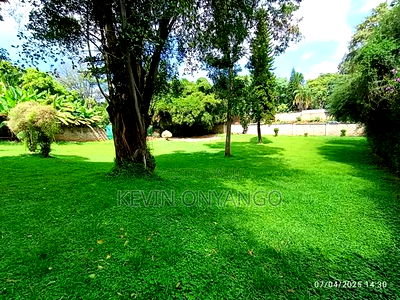 Commercial 8 Bedrooms House for Office Use - Image 13