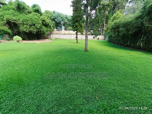 Commercial 8 Bedrooms House for Office Use