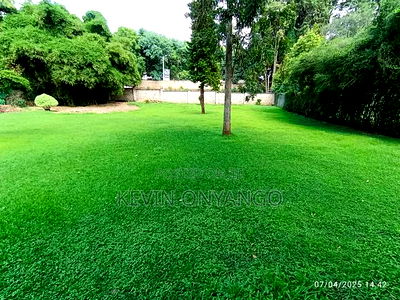 Commercial 8 Bedrooms House for Office Use - Image 17