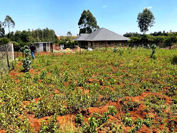 Residential 1/8 Acre Plot In Kikuyu, Gikambura. For Sale