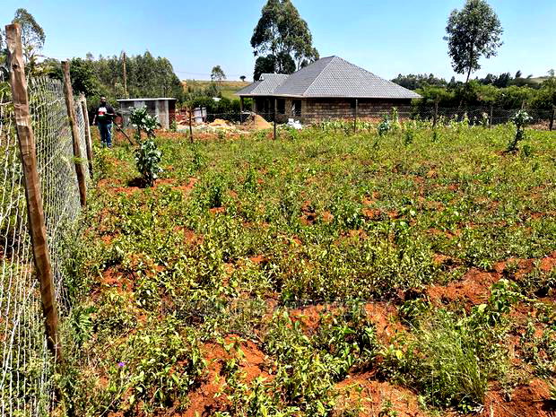 Residential 1/8 Acre Plot In Kikuyu, Gikambura. For Sale