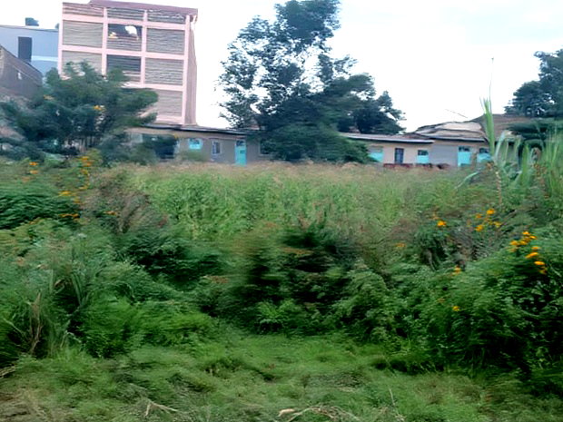 Half Acre Prime Plot on Sale, Kiwanja, Membley, Behind KU