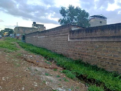 Half Acre Prime Plot on Sale, Kiwanja, Membley, Behind KU - Image 4