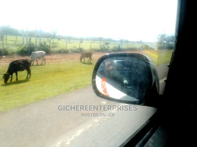 Kajiado County 100acres - Image 5
