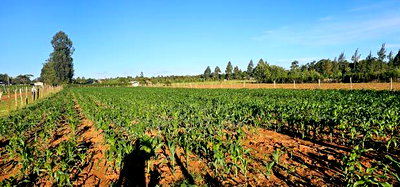 3.8 Acres for Sale in Moiben Garage - Image 7