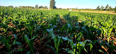 3.8 Acres for Sale in Moiben Garage - Image 4