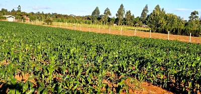 3.8 Acres for Sale in Moiben Garage - Image 8