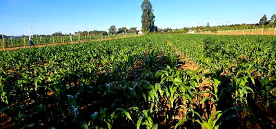 3.8 Acres for Sale in Moiben Garage - Image 5