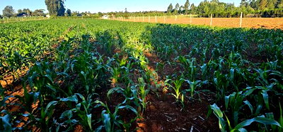 3.8 Acres for Sale in Moiben Garage - Image 3