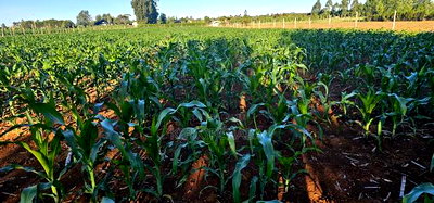 3.8 Acres for Sale in Moiben Garage - Image 2