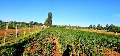 3.8 Acres for Sale in Moiben Garage - Image 6