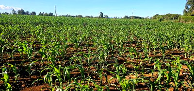 3.8 Acres for Sale in Moiben Garage - Image 1