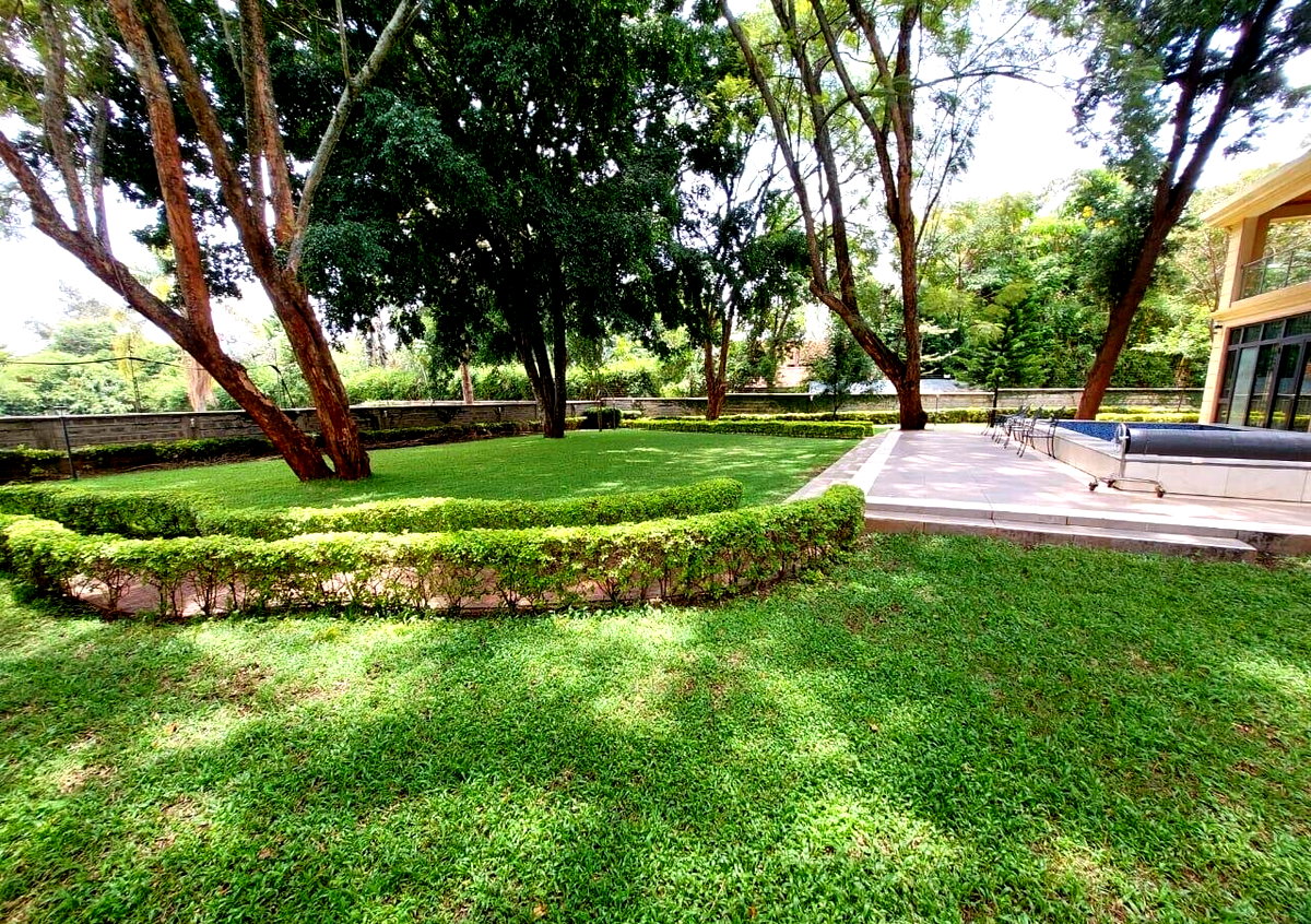 Furnished 5BR Standalone Home on Half-Acre - Gigiri